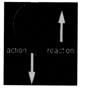 NCERT Solutions for Class 9 Science Chapter 9 Force and Laws of Motion 19